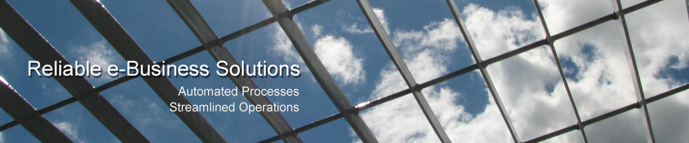 avanza-e-business-solution
